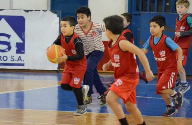 Gran Prix para el Minibásquet
