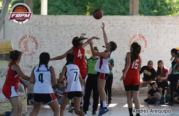 El femenino al día